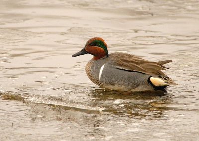 D20_9376.jpg