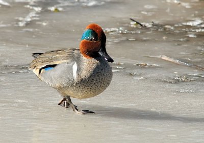 D20_9540.jpg