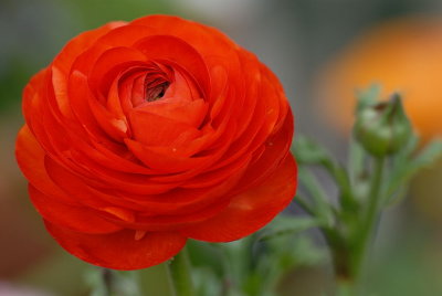 D21_0897.jpg