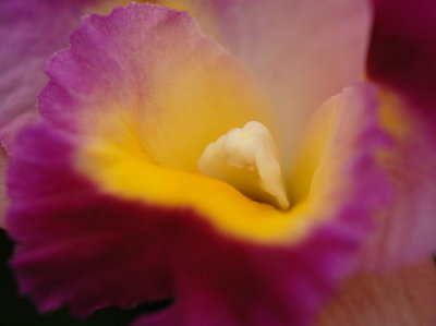 D21_0911.jpg