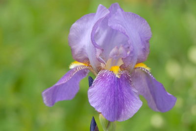 D21_5081.jpg
