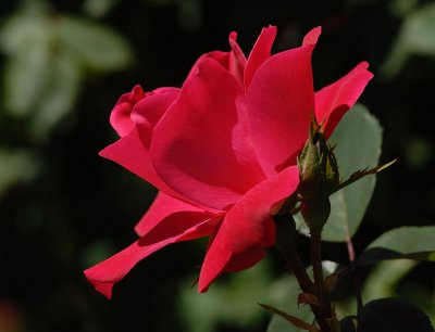 D21_5682.jpg