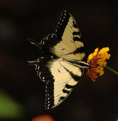 DSC_8508.jpg