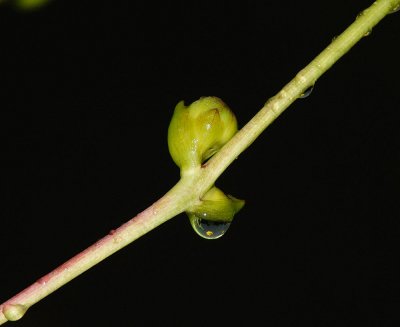 D22_3725.jpg