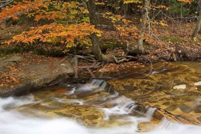 Flowing Water 002(10-06).jpg