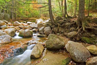 Sabbaday Brook 002(10-06).jpg