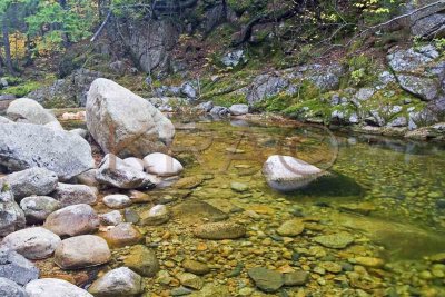 Sabbaday Brook 005(10-06).jpg