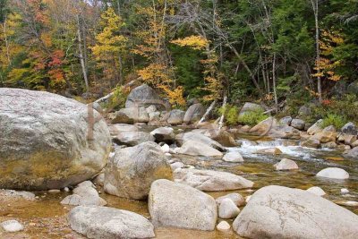 Swift River - Rocky Gorge Scenic Area 011(10-06).jpg