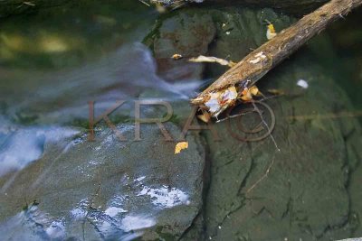 Water and Rocks 001(10-06).jpg