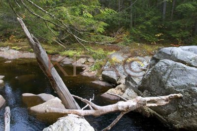 Agassiz Basin 017(10-04).jpg