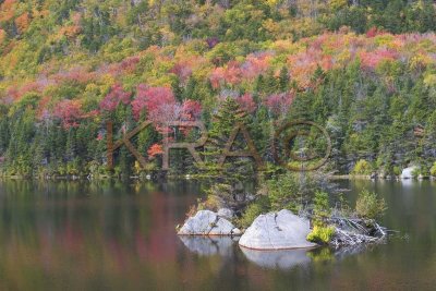 Beaver Pond -  Kinsman Notch 006(10-04).jpg