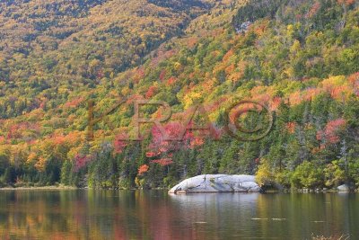 Beaver Pond -  Kinsman Notch 009(10-04).jpg