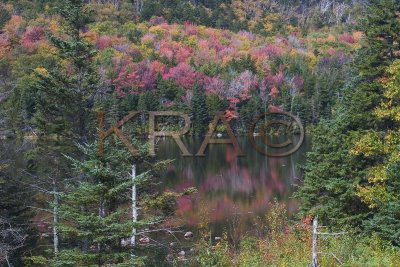Beaver Pond - Kinsman Notch 013(10-04).jpg
