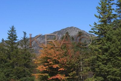 Eagle Cliff 001(10-04).jpg