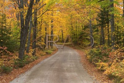Jefferson Notch Road 001(10-04).jpg