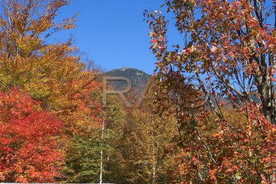 Mt Liberty 002(10-04).jpg