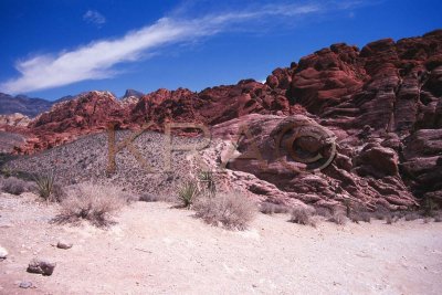 red rock canyon 005(7-02).jpg