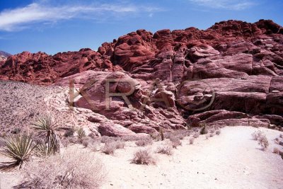 red rock canyon 011(7-02).jpg