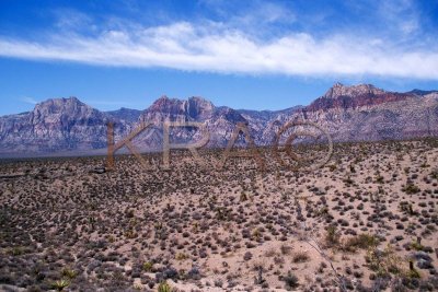 red rock canyon 022(7-02).jpg