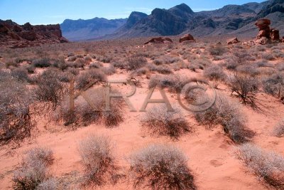 valley of fire 003(7-02).jpg