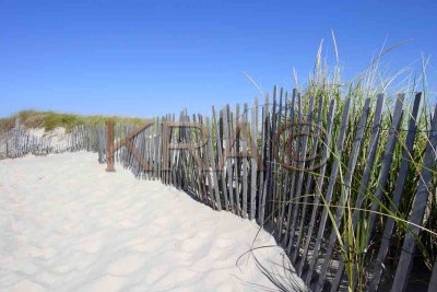 Beachgrass and Fence 003(10-03).jpg