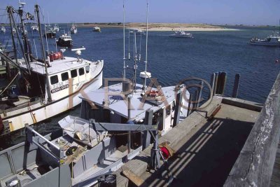 Chatham Fish Pier 001(4-03).jpg