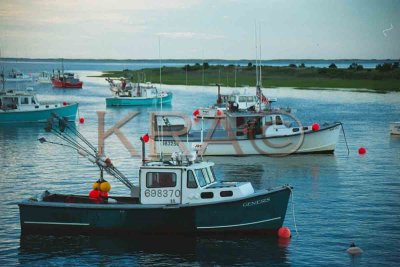 fish pier 011(7-00).jpg