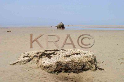 Skaket Beach - Low Tide 004(6-04).jpg