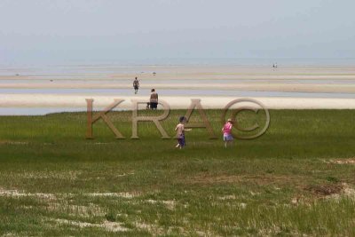 Skaket Beach - Low Tide 008(6-04).jpg