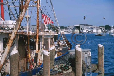hyannis harbor 005(10-02).jpg