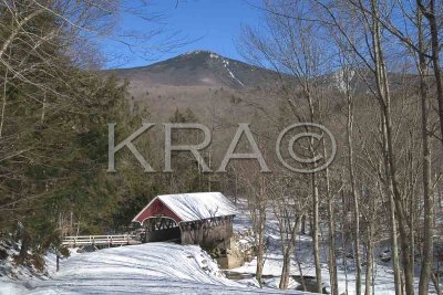 The Flume Covered Bridge 003(2-04).jpg