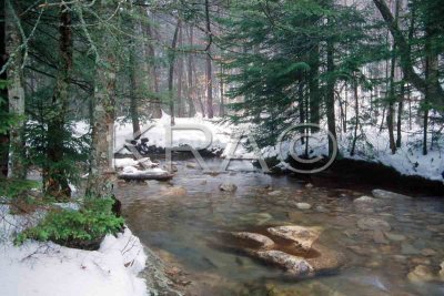 basin 008(1-02).jpg