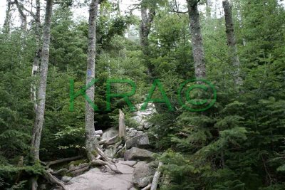 Falling Waters Trail 007(9-03).jpg