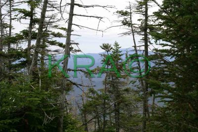 Kinman Ridge from Falling Waters Trail 001(9-03).jpg