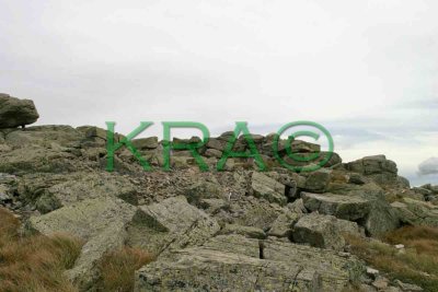 Mt Lafayette Alpine Zone 001(9-03).jpg