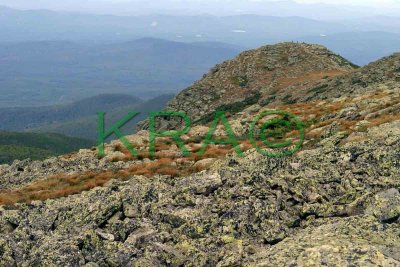 Mt Lafayette Alpine Zone 003(9-03).jpg