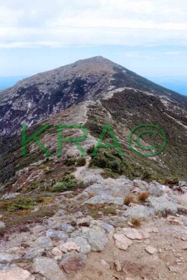 Mt Lafayette from Mt Lincoln 002(9-03).jpg