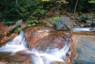 flume brook 001(10-02).jpg