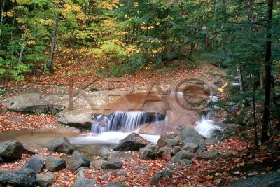 flume brook 002(10-02).jpg