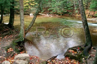the basin 002(10-02).jpg