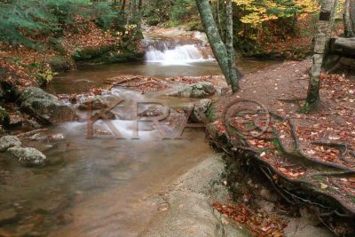 the basin in autumn 001(10-02).jpg