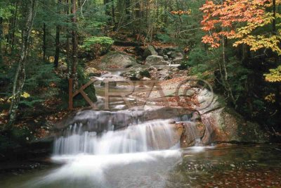 the basin in autumn 002(10-02).jpg