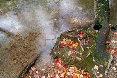 the basin in autumn 004(10-02).jpg