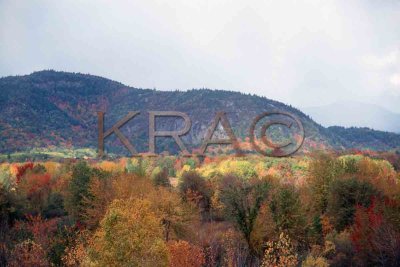 the white mountains in autumn 004(10-02).jpg
