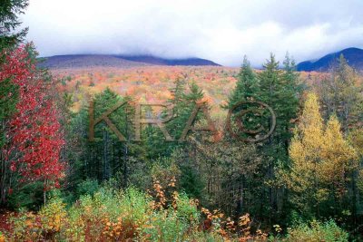 the white mountains in autumn 010(10-02).jpg