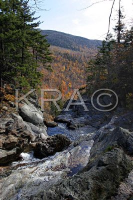 Near the Glen Ellis Falls 002(10-03).jpg