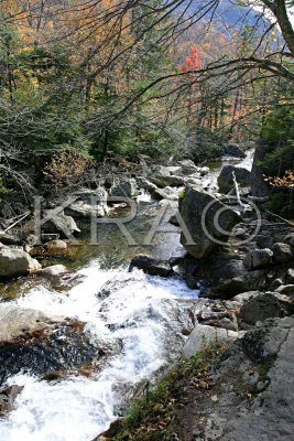 Near the Glen Ellis Falls 005(10-03).jpg