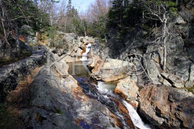 Near the Glen Ellis Falls 006(10-03).jpg