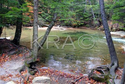 The Basin 002(10-03).jpg