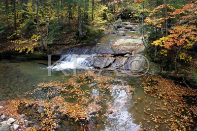 The Basin 005(10-03).jpg
